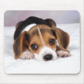Beagle-Welpen-Hund Mousepad (Vorne)