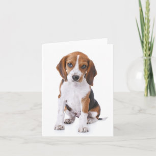 Beagle-Welpen-Hund rote leere Notizkarte Karte