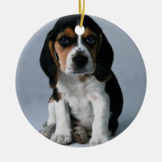 Beagle-Welpen-HundeFoto Keramik Ornament (Vorne)