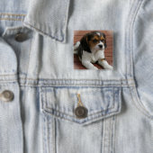 Beagle-Welpen-Hundequadrat-Button Button (Beispiel)
