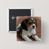 Beagle-Welpen-Hundequadrat-Button Button (Vorne & Hinten)