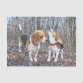 Beagle-Welpen im Holz-Seidenpapier Seidenpapier (Vorderseite)