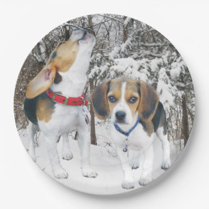 Beagle Welpen im Schneewald Pappteller