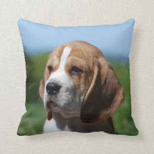 Beagle-Welpen-Kissen Kissen