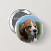 Beagle-Welpen-Knopf Button (Vorne & Hinten)