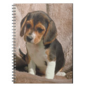 Beagle-Welpen-Notizbuch Notizblock (Vorderseite)