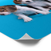 Beagle Welpen Poster (Ecke)