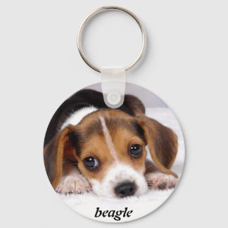 Beagle-Welpen-Tapete-11.jpg, Beagle Schlüsselanhänger