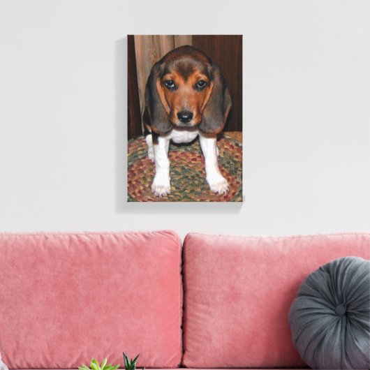 Beagle Welpenüberzogene Leinwand (Insitu (Wohnzimmer))