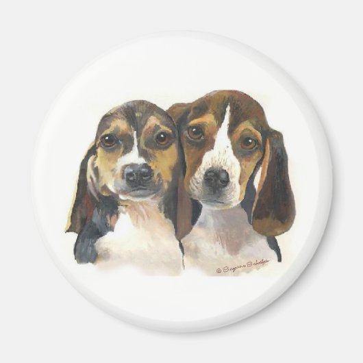 Beagle Welppies Magnet (Vorne)