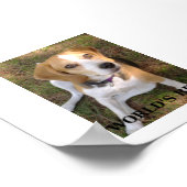 Beagle Welten am besten Poster (Ecke)