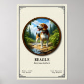 Beagle Zoologie Serie Poster (Vorne)