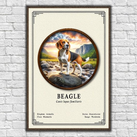 Beagle Zoologie Serie Poster