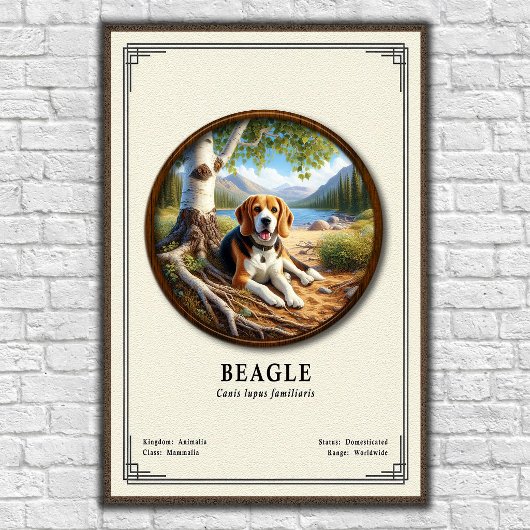 Beagle Zoologie Serie Poster