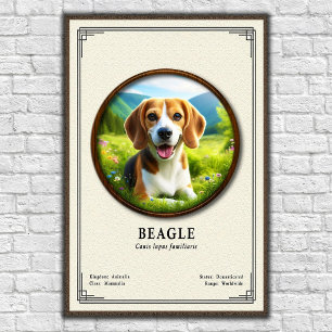 Beagle Zoologie-Serie Poster