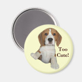 Beagle zu Niedlich Magnet (Vorderseite/Rückseite)