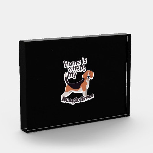 Beagle Zuhause Fotoblock (Links)