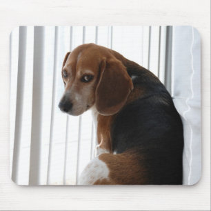 Beaglehaltung Mousepad