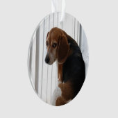 Beaglehaltung Ornament (Vorderseite)