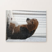 Beaglehaltung Puzzle (Horizontal)