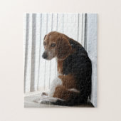 Beaglehaltung Puzzle (Vertikal)