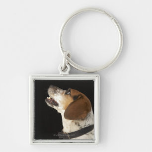 Beaglehund mit schwarzem Kragenprofil Schlüsselanhänger