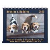 Beagles and Buddies 2026 Calendar Kalender (Titelbild)