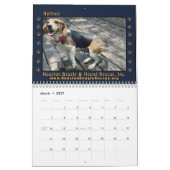 Beagles Beagles Wandkalender 2026 (Mär 2027)