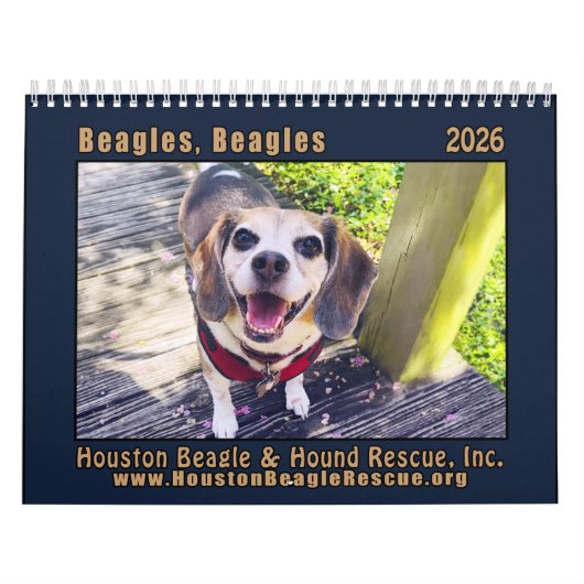 Beagles Beagles Wandkalender 2026 (Titelbild)