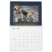 Beagles Beagles Wandkalender 2026 (Mär 2027)