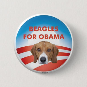 Beagles für Obama Button