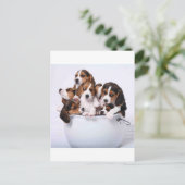 Beagles im Eimer Postkarte (Stehend Vorderseite)