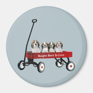 Beagles im Lastwagen-Magneten Magnet