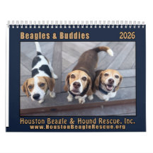 Beagles und Freunde 2026 Kalender