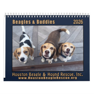 Beagles und Freunde 2026 Kalender