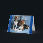 **BEAGLES** WISHING A VERY HAPPY BIRTHDAY** KARTE<br><div class="desc">BEAGLE WISHING A "HAPPY BIRTHDAY" IS A SELTENE THING DON'T YOU THINK. YOU CAN CHANGE THE VERSE AND ADD THE AGE IN SECOND ON ALL MY CARDS AT ALL 9 STORES. AND I WANT TO SAY THANK YOU FOR STOPPING BY!</div>