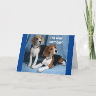 **BEAGLES** WÜNSCHEN EINEN SEHR GLÜCKLICHEN GEBURT KARTE