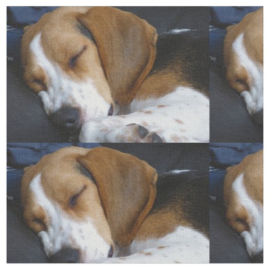 Beagleschlafen Stoff (Nahaufnahme)