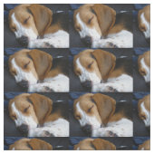 Beagleschlafen Stoff (Muster)