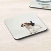 Beaglewelpe Getränkeuntersetzer (Linke Seite)