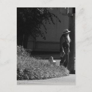 Beale n Blues Series Postkarte