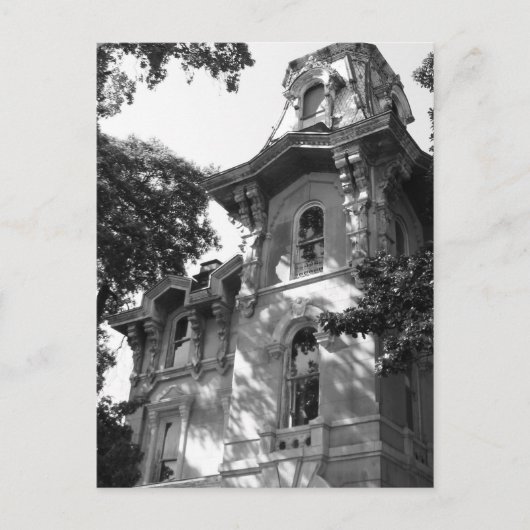 Beale n Blues Series Postkarte (Vorderseite)