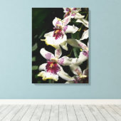 Beallara Orchid Art Wrapped Canvas -18x24 Leinwanddruck (Insitu (Holzboden))