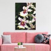 Beallara Orchid Art Wrapped Canvas -18x24 Leinwanddruck (Insitu (Wohnzimmer))
