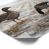 Bean Geese in a Winter Field – Japanese Wild Bird Poster (Ecke)