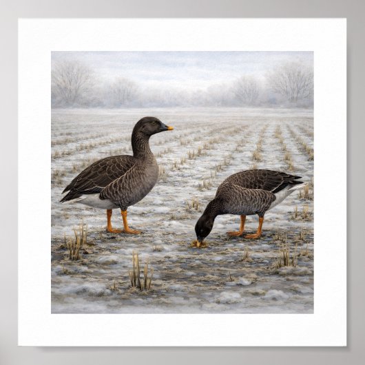 Bean Geese in a Winter Field – Japanese Wild Bird Poster (Vorne)