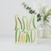 Bean-Sorten von Ernst Benary Postkarte (Stehend Vorderseite)