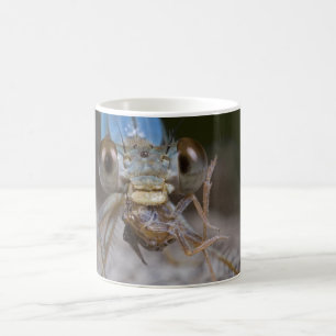 Beängstigende Damselfly-Tasse Kaffeetasse