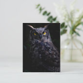 Beängstigende Eule Halloween Postkarte (Stehend Vorderseite)