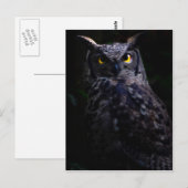 Beängstigende Eule Halloween Postkarte (Vorne/Hinten)
